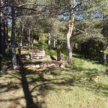 Gite Les Cigales Chateauvieux  Kültér fotó